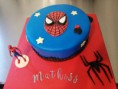 /album/mes-gateaux-en-pate-a-sucre/gateau-spiderman-jpg1/